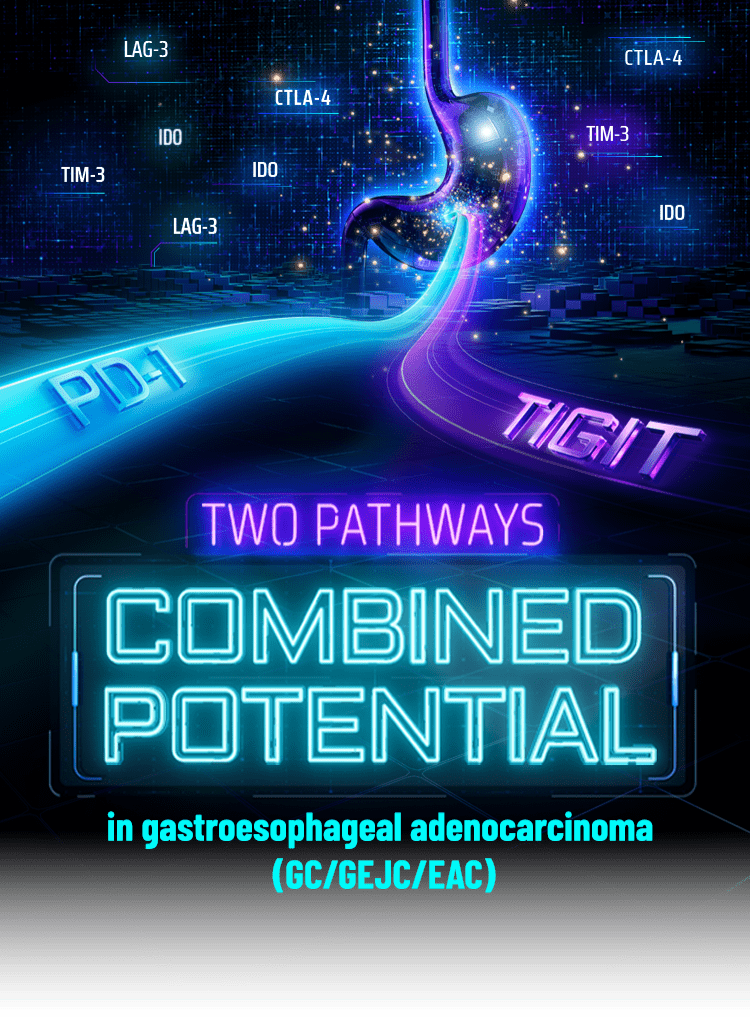 Engagement of PD-1 and TIGIT receptors.